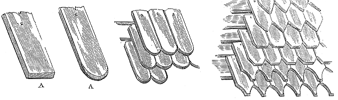 tejuelas de madera - manuales técnicos