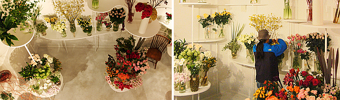 tienda de flores - flower shop green life
